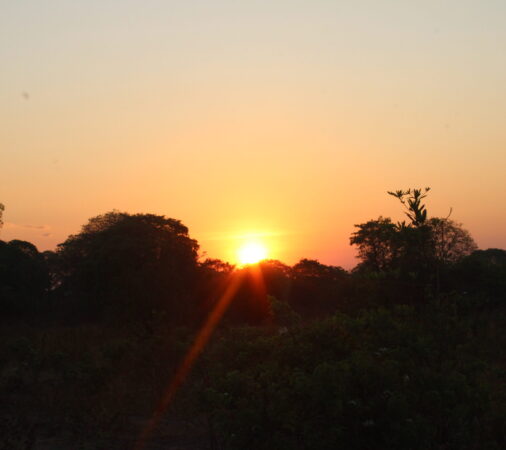 sun-set-tanzania-safaris