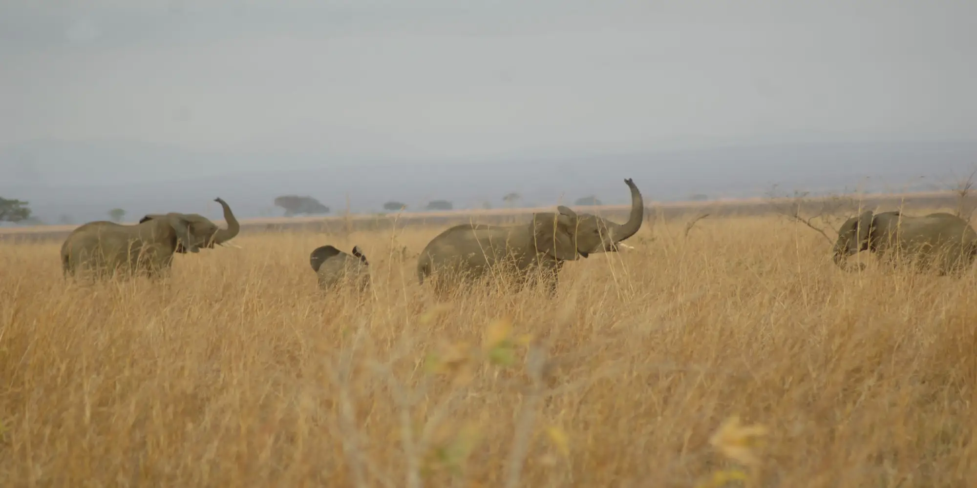 Tanzania hidden an untouched wildlife