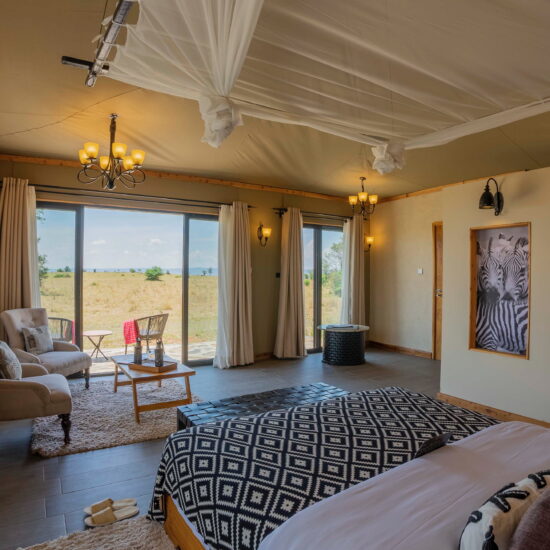 luxury experience in tanzania