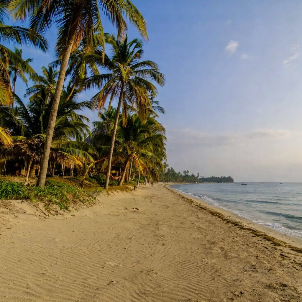 best beach near saadani national park
