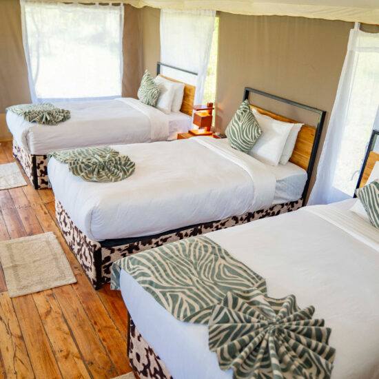 tripple room view inside the national park