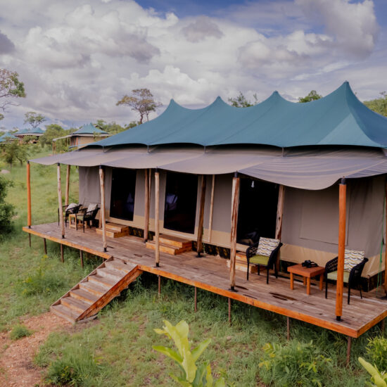 among of family tented on platforms