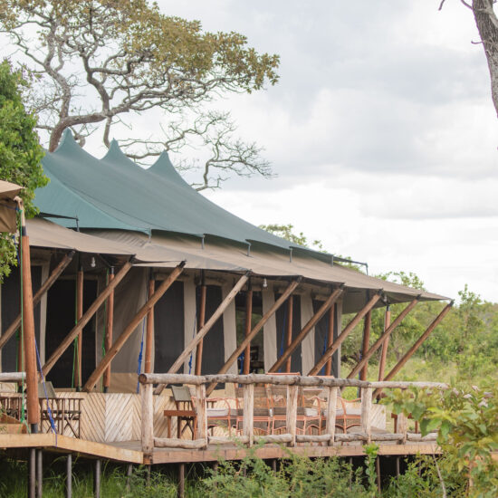 a lifetime experiences in serengeti