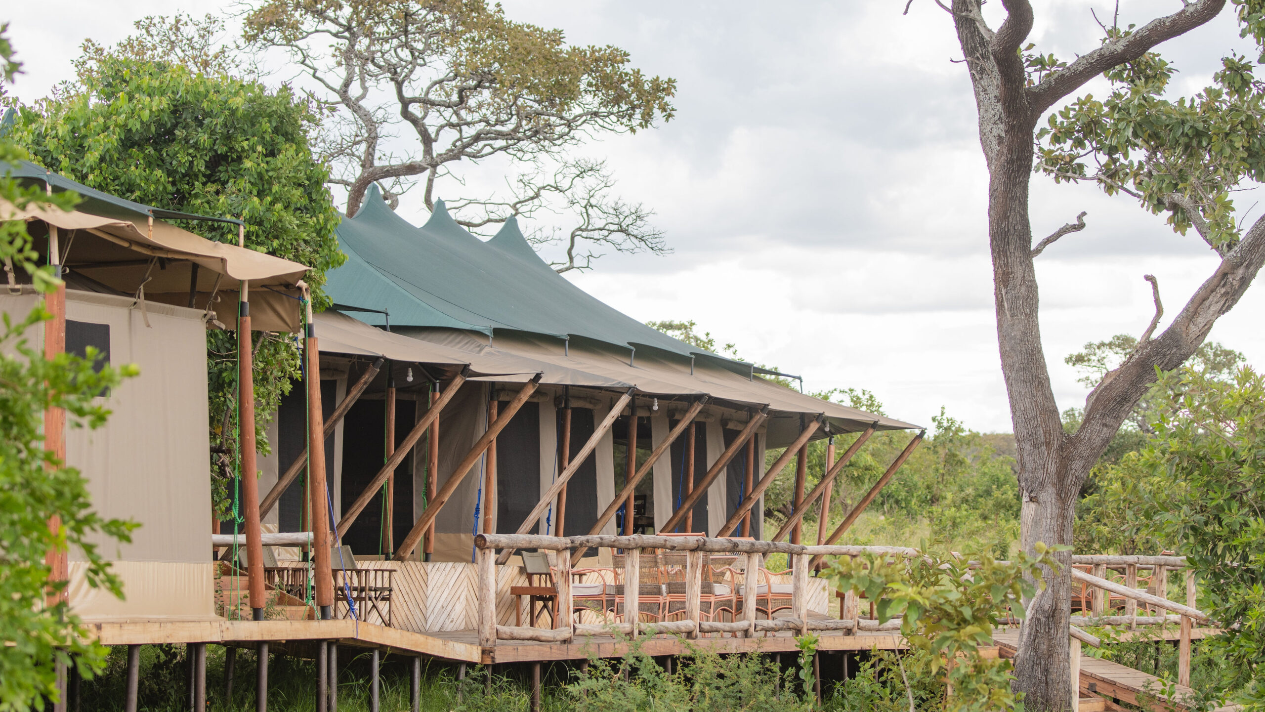 a lifetime experiences in serengeti