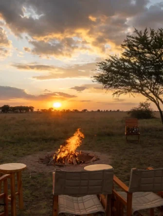 Where to Stay during safari