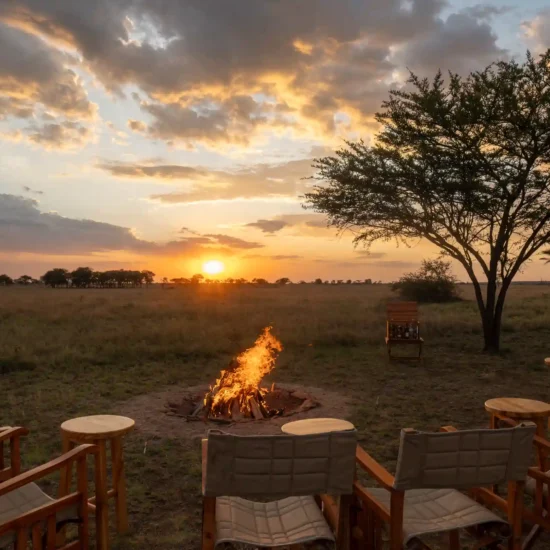 Where to Stay during safari